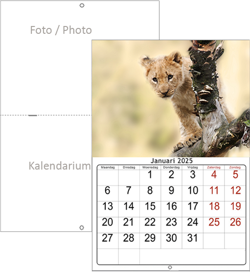 Muurkalender op Maat 2025 dubbel geniet