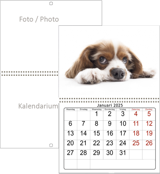 Muurkalender op Maat 2025 dubbel wire-o