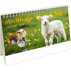 Kantoorkalender 2026 Animals