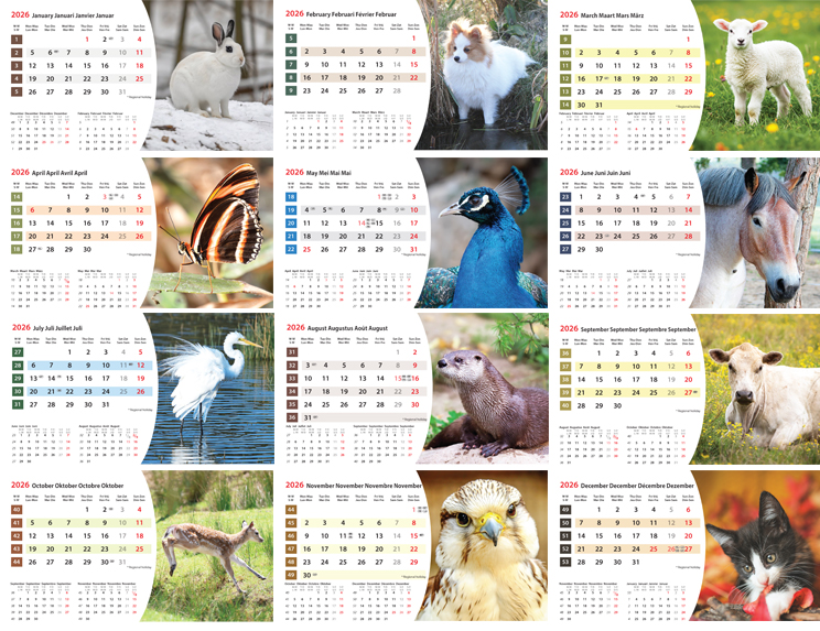 Kantoorkalender 2026 Animals 13p 21x15cm Prenten