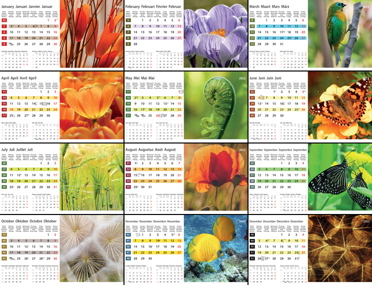 Kantoorkalender 2022 Colours of Nature 13p 21x15cm Prenten