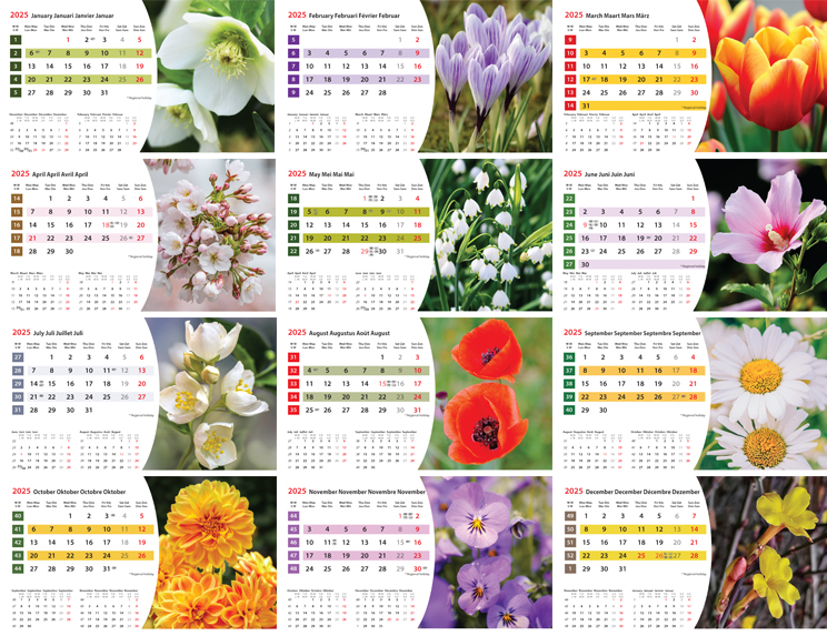 Kantoorkalender 2023 Flowers 13p 21x15cm Prenten