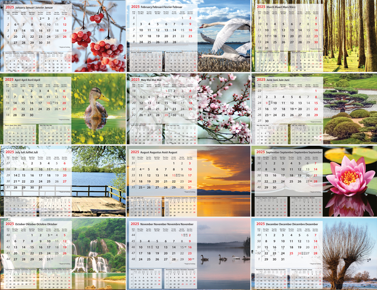 Kantoorkalender 2025 Nature 13p 21x15cm Prenten