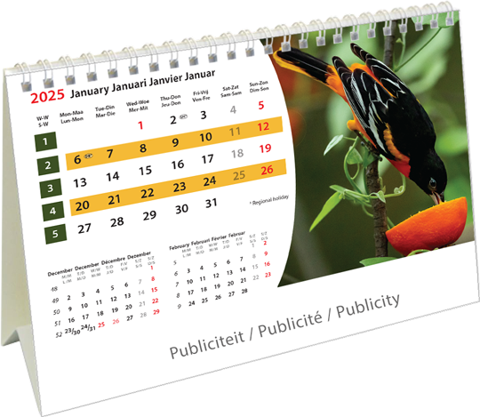 Kantoorkalender 2024 Wildlife