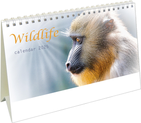 Kantoorkalender 2024 Wildlife