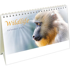 Kantoorkalender 2024 Wildlife