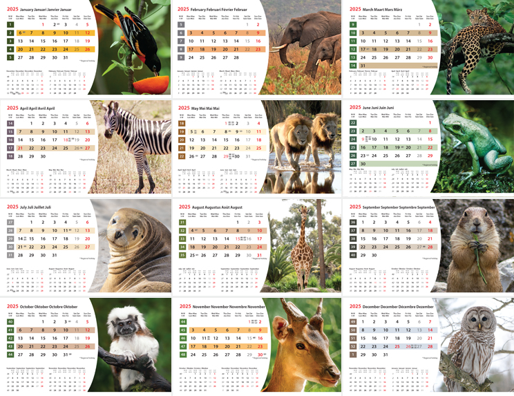 Kantoorkalender 2024 Wildlife 13p 21x15cm Prenten
