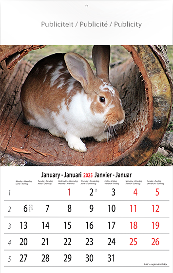 Muurkalender 2025 Animals 13p 30x47cm