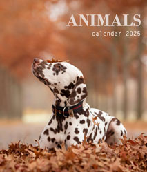Muurkalender 2025 Animals 13p A4 A3 Cover