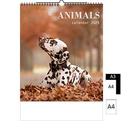 Muurkalender 2024 Animals A4 A3