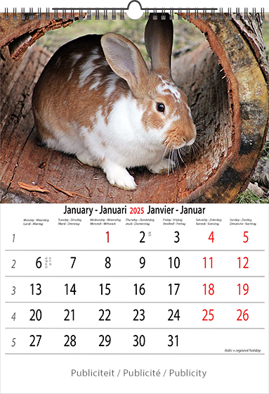 Muurkalender 2025 Animals 13p A4 A3