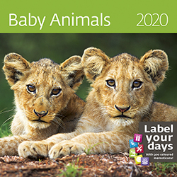 Muurkalender 2020 Babydieren 13p 30x30cm Cover