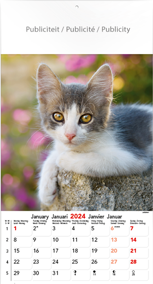 Muurkalender 2024 Cats & Dogs 13p 22x41cm