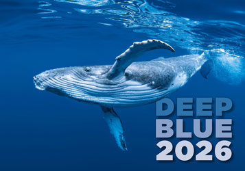 Muurkalender 2026 Deep Blue 13p 45x38cm Cover