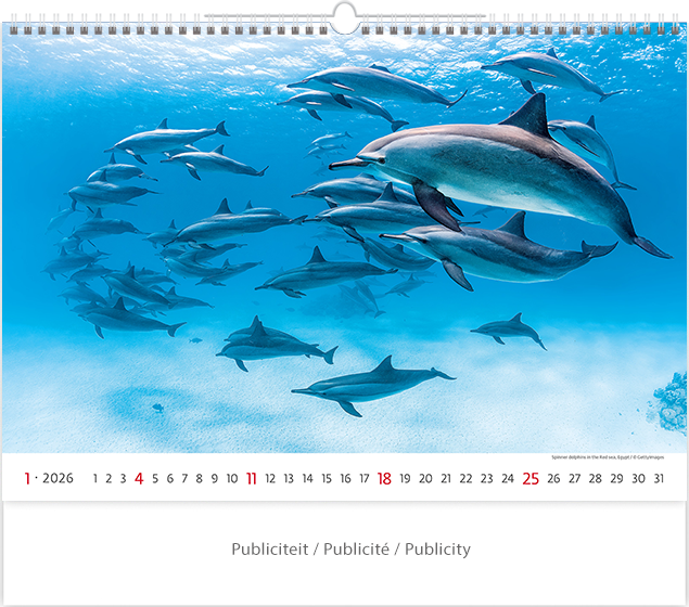 Muurkalender 2026 Deep Blue 13p 45x38cm