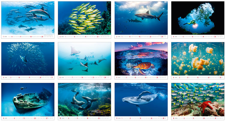 Muurkalender 2026 Deep Blue 13p 45x38cm Prenten