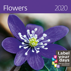 Muurkalender 2020 Flowers 13p 30x30cm Cover