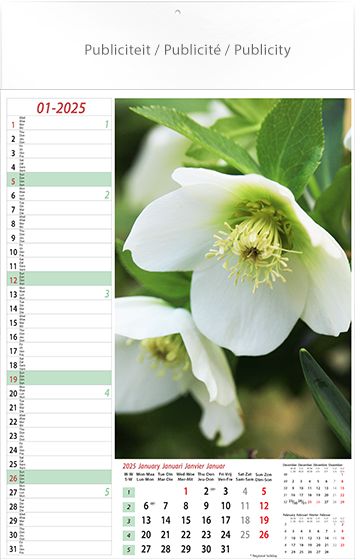 Muurkalender 2025 Flowers 13p 30x47cm