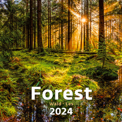 Muurkalender 2024 Forest 13p 30x37cm Cover