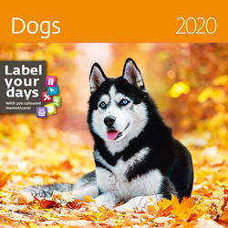 Muurkalender 2020 Honden 13p 30x30cm Cover