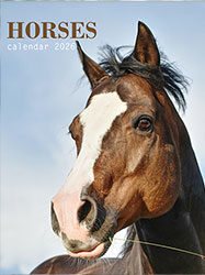 Muurkalender 2025 Horses 13p 30x47cm Cover