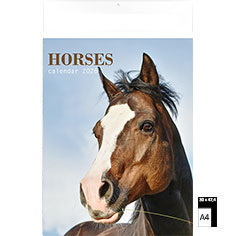 Muurkalender 2025 Horses 30 x 47