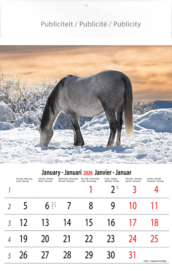 Muurkalender 2026 Horses 13p 30x47cm