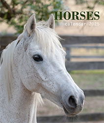 Muurkalender 2025 Horses 13p A4 A3 Cover