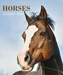 Muurkalender 2025 Horses 13p A4 A3 Cover