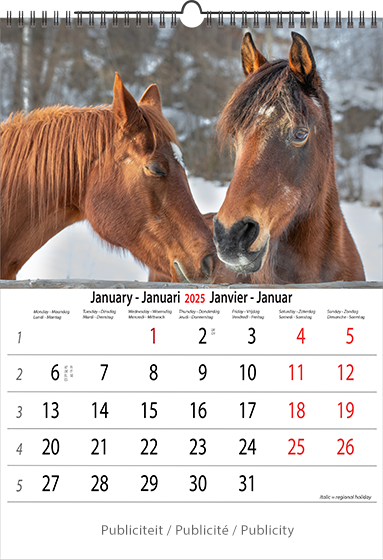 Muurkalender 2025 Horses 13p A4 A3