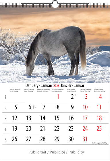 Muurkalender 2026 Horses 13p A4 A3