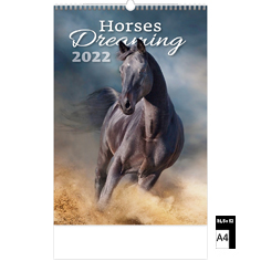 Muurkalender Deco 2022 Horses Dreaming