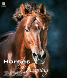Muurkalender 2020 Horses Dreaming 13p 45x59cm Cover