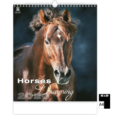 Muurkalender 2020 Luxe Horses Dreaming