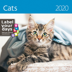 Muurkalender 2020 Katten 13p 30x30cm Cover