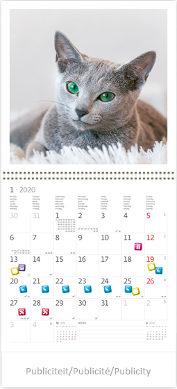 Muurkalender 2020 Katten 13p 30x30cm