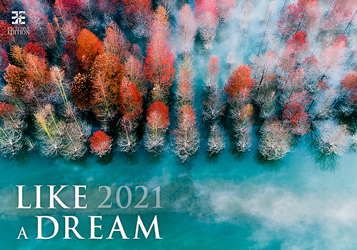Muurkalender 2021 Like a Dream 13p 48x41cm Cover