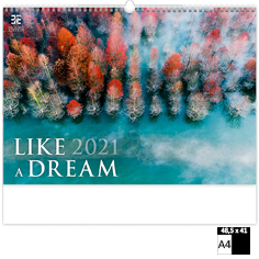 Muurkalender 2020 Luxe Like a Dream