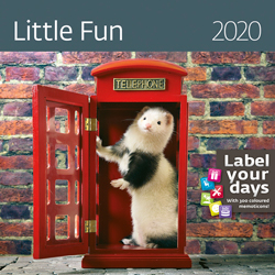 Muurkalender 2020 Little Fun 13p 30x30cm Cover