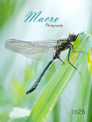 Muurkalender 2026 Macro 13p 30x47cm Cover