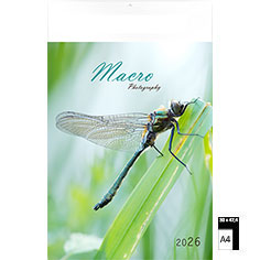 Muurkalender 2026 Macro 30 x 47