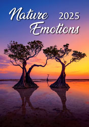 Muurkalender 2024 Nature Emotions 13p 31x52cm Cover