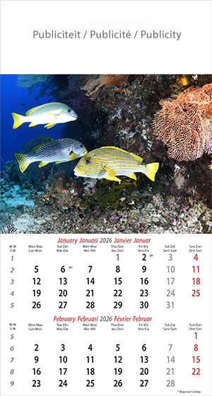 Muurkalender 2026 Ocean Wonders 6p 22x41