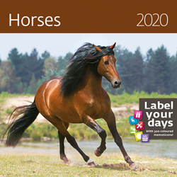 Muurkalender 2020 Paarden 13p 30x30cm Cover