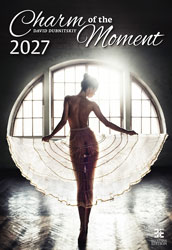 Muurkalender 2027 Pin-up Charm of the Moments 13p Cover