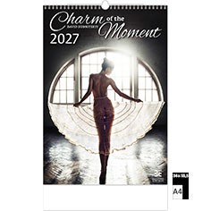 Muurkalender 2027 Pin-Up Charm of the Moments