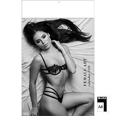 Muurkalender 2026 Pin-Up Female Art