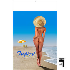 Muurkalender 2026 Pin-Up Tropical Dreams