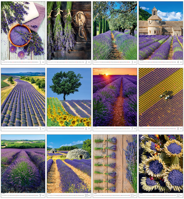 Muurkalender 2024 Provence 13p 31x52cm Prenten