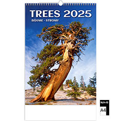 Muurkalender Deco 2024 Trees